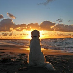 Роман Мацукатов, 11.06, Киев