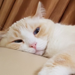 Евгений Миронов, Тюмень