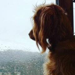 Маргарита Руднева, 10.01.1996, Москва