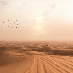 Sabyr Sabirov, 28.06