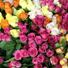 Карина Κузьмина, 02.07.1992, Уфа