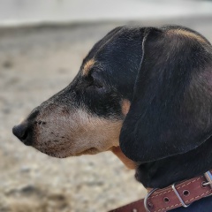 Ирина Маслюченко, 06.07.1980, Новороссийск