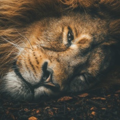 Иван Иванов, 20.06, London