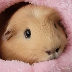 Мария Власова, Балаково