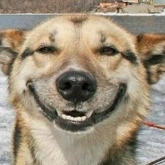 Дмитрий Коляденков, 26.10.1984, Самара