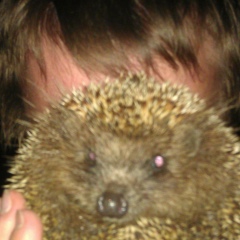 Михаил Иванов, 11.06.1985, Санкт-Петербург