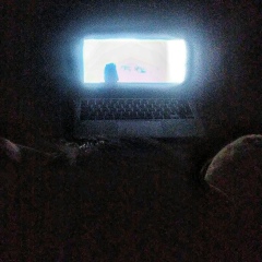 Шохрух Бексултанов, 16.01.1998, Hamburg