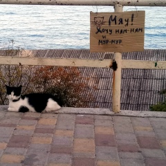 Сергей Владимирович, 23.10