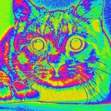 Vadim Kuznetsov, 23.01.1987, Санкт-Петербург