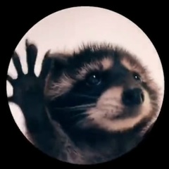 Индира Шериева, Санкт-Петербург