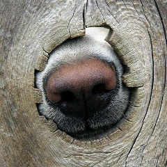 Екатерина Синцова, 05.12, Санкт-Петербург