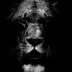 Рамиль Заитов, 13.08.1985, Оренбург