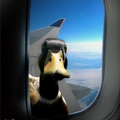 Ильдар Исмагилов, 23.12.1984, Нижневартовск