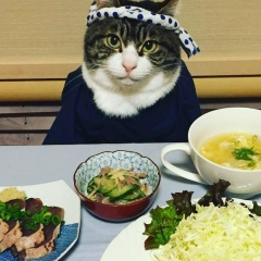 Takanori Matsumoto, 11.11