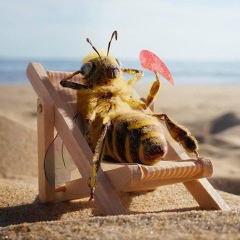 Иван Шмелёв, 10.10.1992, Москва