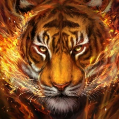 Антон Никандров, 21.12.1986, Москва