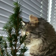 Алексей Кудрявцев, 20.06, Москва