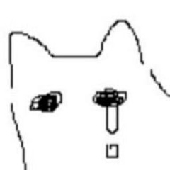 Асель Тополек, 22.03