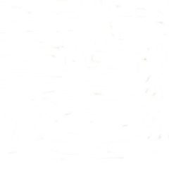 Канат Сарин, 16.07.1990