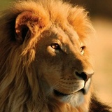 Ренат Фасахов, 17.06.1986, Казань