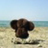 Антон Воробьёв, 28.07.1986, Москва