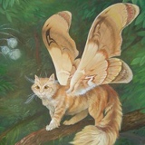 Мария Семенихина, 18.08, Гатчина