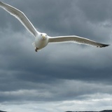 Михаил Репин, 23.05.1983, Санкт-Петербург