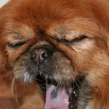 Евгений Иваненко, 28.03.1984, Дружковка