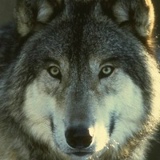 Бактияр Жубаниязов, 18.06.1976, Актау