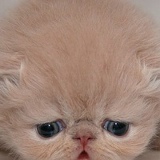 Екатерина Данилова, 26.05.1980, Днепр (Днепропетровск)