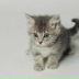 Саша Буяльская, 05.11, Минск