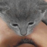 Софья Цыбизова, 09.07.1986, Санкт-Петербург