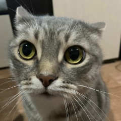 Евгений Шкоткин, Пенза