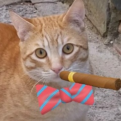 Yuri Dr, 11.10, Santo Domingo