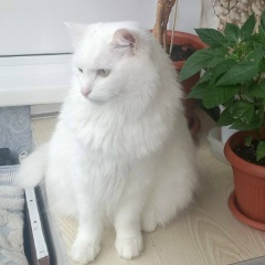 Леночка Захарова, 11.04, Ижевск