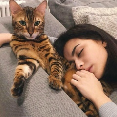 Расим Алиев, 17.01, Ставрополь