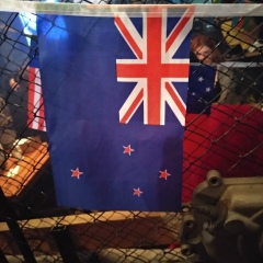 Maksat Temirzhanov, 15.09, Астана