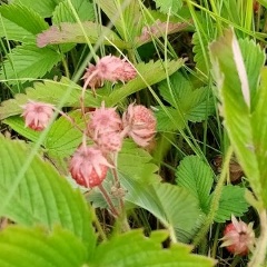 Ирина Косарева, Уфа