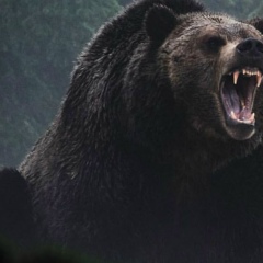 Федор Макаров, 22.02, Москва