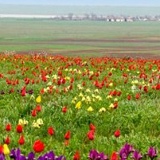 Марина Дорджиева, 15.01.1986, Элиста