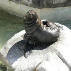 Anya S, 21.02.1987, Москва