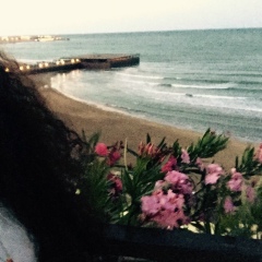 Айла Алиева, Гянджа