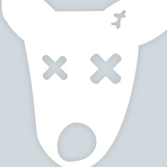 Илья Наумов, 17.01