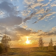 Ольга Екимчик, Кострома