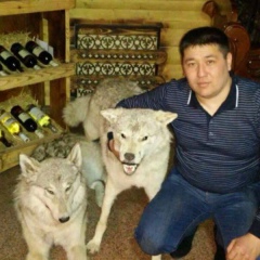 Галымжан Муратбеков