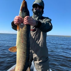 Гриня Гриня, 05.09, Санкт-Петербург