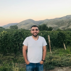 Armen Avagyan, 09.01, Ереван