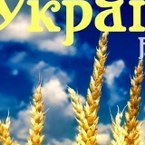 Парень Конечно