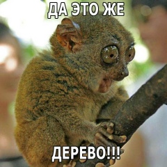 Киря Дуров, Севастополь