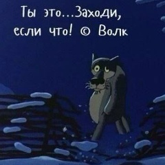 Анзор Бжахов, 17.02.1986, Сыктывкар